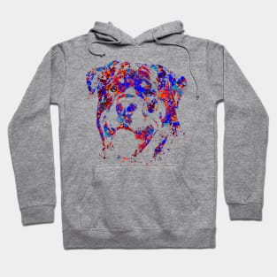 Colorful Rottweiler  - Metzgerhund Hoodie